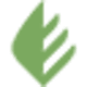 Eartheasy logo